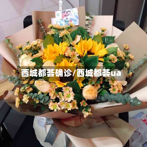 西城都荟确诊/西城都荟ua-第1张图片