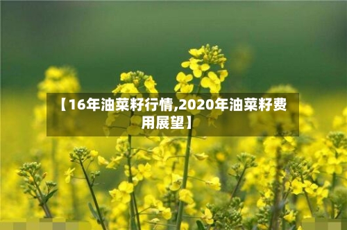 【16年油菜籽行情,2020年油菜籽费用展望】