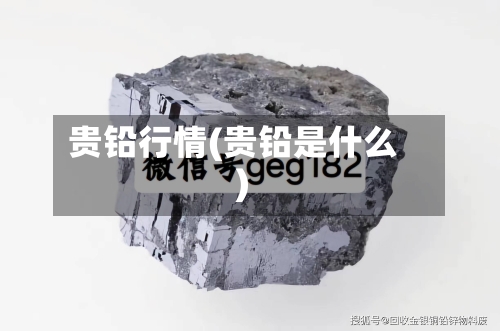 贵铅行情(贵铅是什么)-第2张图片