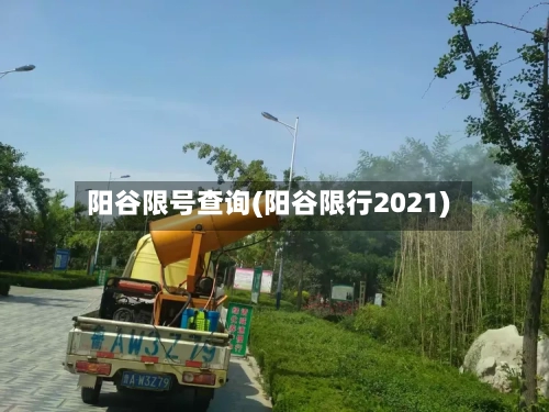 阳谷限号查询(阳谷限行2021)