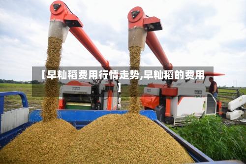 【早籼稻费用行情走势,早籼稻的费用】-第2张图片