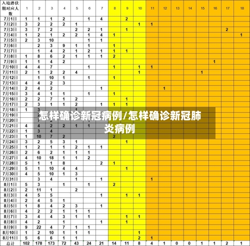 怎样确诊新冠病例/怎样确诊新冠肺炎病例