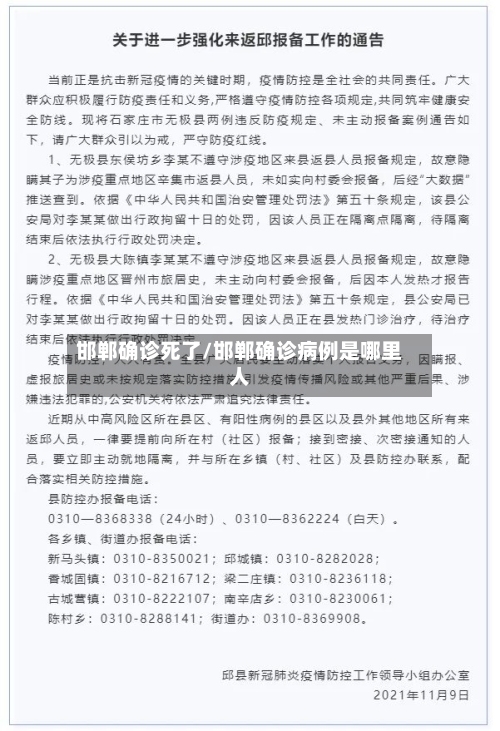 邯郸确诊死了/邯郸确诊病例是哪里人-第3张图片