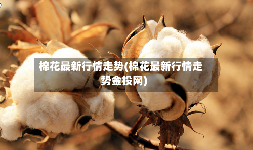 棉花最新行情走势(棉花最新行情走势金投网)-第2张图片