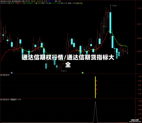 通达信期权行情/通达信期货指标大全