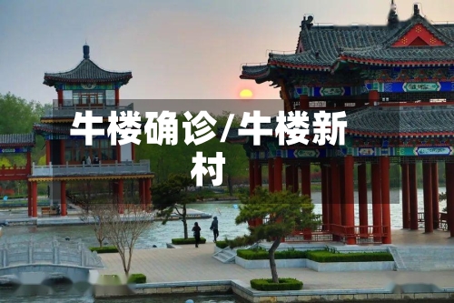 牛楼确诊/牛楼新村-第2张图片