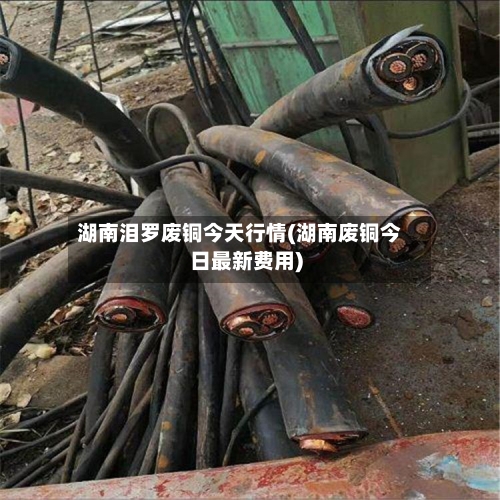 湖南泪罗废铜今天行情(湖南废铜今日最新费用)