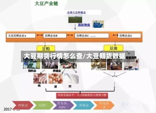 大豆期货行情怎么查/大豆期货数据