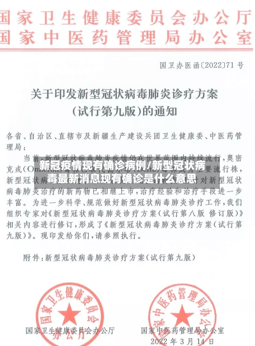新冠疫情现有确诊病例/新型冠状病毒最新消息现有确诊是什么意思-第2张图片