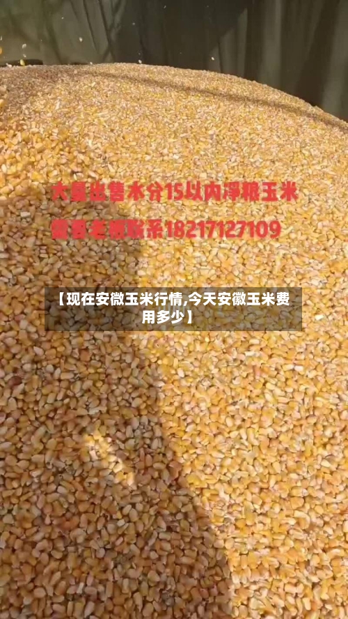 【现在安微玉米行情,今天安徽玉米费用多少】