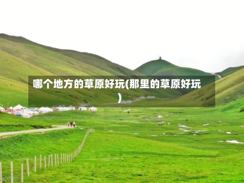 哪个地方的草原好玩(那里的草原好玩)