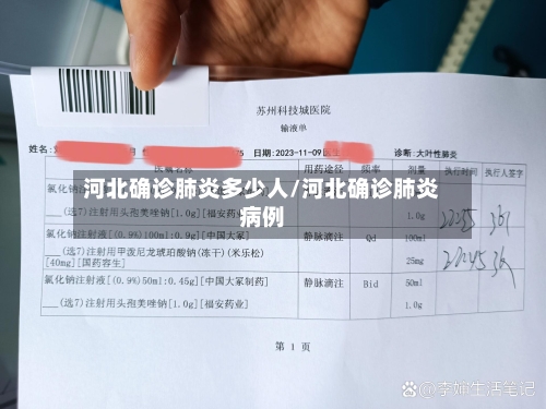 河北确诊肺炎多少人/河北确诊肺炎病例-第2张图片