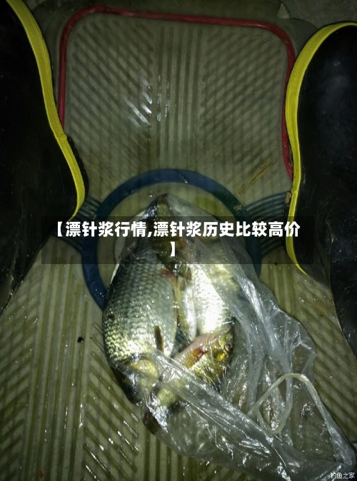 【漂针浆行情,漂针浆历史比较高价】-第2张图片