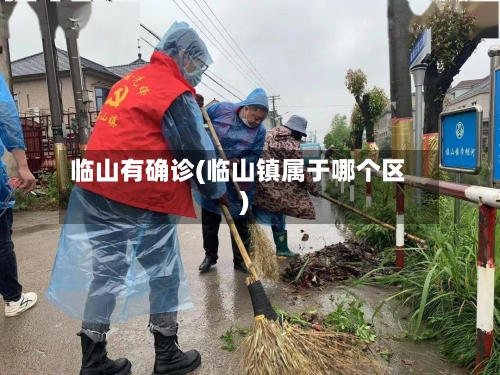 临山有确诊(临山镇属于哪个区)-第3张图片