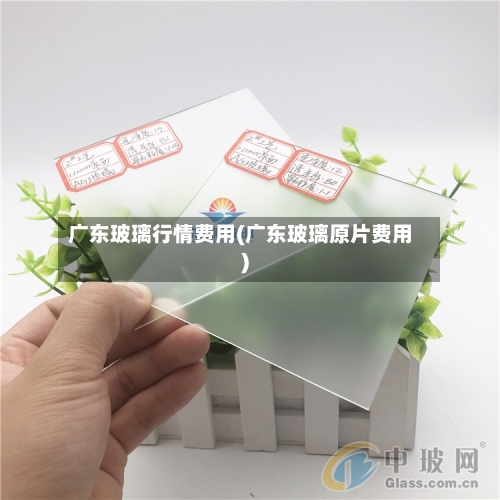 广东玻璃行情费用(广东玻璃原片费用)