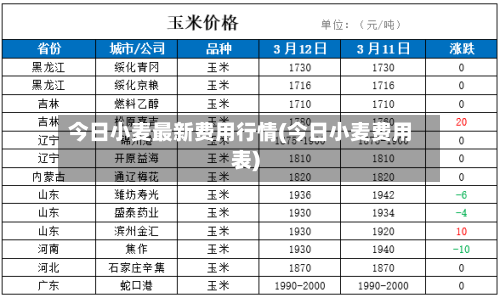 今日小麦最新费用行情(今日小麦费用表)