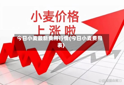今日小麦最新费用行情(今日小麦费用表)-第2张图片