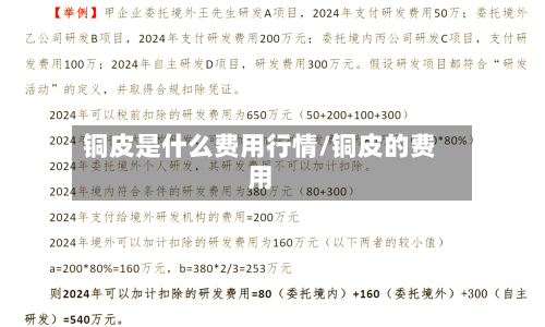 铜皮是什么费用行情/铜皮的费用