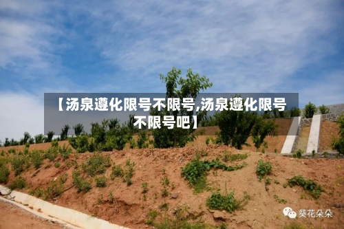 【汤泉遵化限号不限号,汤泉遵化限号不限号吧】-第2张图片