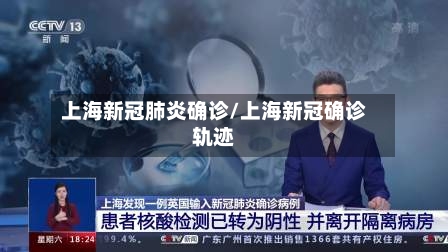 上海新冠肺炎确诊/上海新冠确诊轨迹