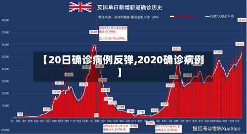 【20日确诊病例反弹,2020确诊病例】