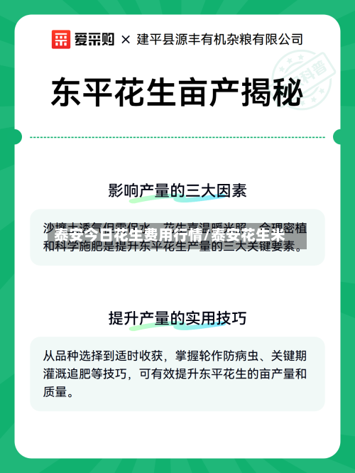泰安今日花生费用行情/泰安花生米