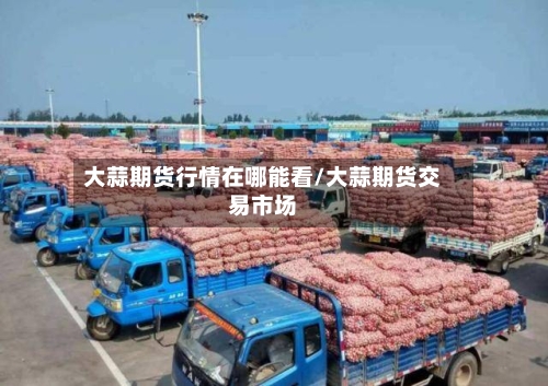 大蒜期货行情在哪能看/大蒜期货交易市场