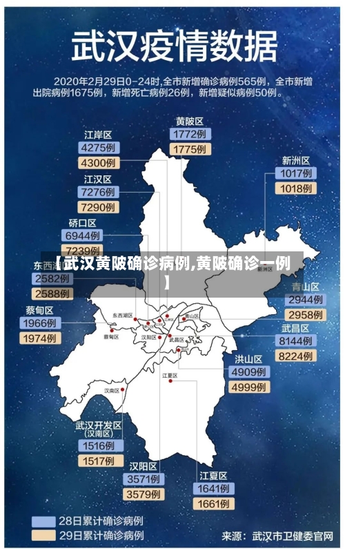 【武汉黄陂确诊病例,黄陂确诊一例】