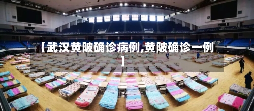 【武汉黄陂确诊病例,黄陂确诊一例】-第2张图片