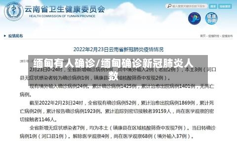 缅甸有人确诊/缅甸确诊新冠肺炎人数-第2张图片