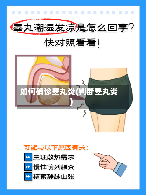 如何确诊睾丸炎(判断睾丸炎)