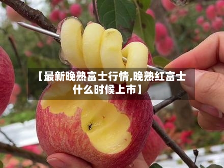 【最新晚熟富士行情,晚熟红富士什么时候上市】