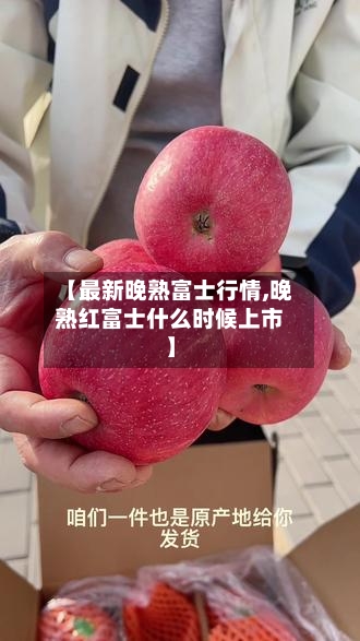 【最新晚熟富士行情,晚熟红富士什么时候上市】-第3张图片
