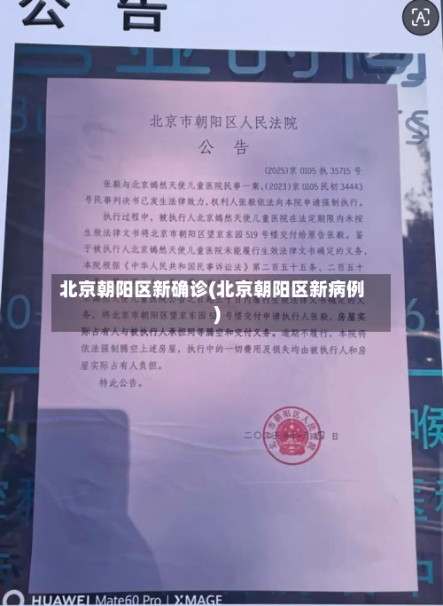 北京朝阳区新确诊(北京朝阳区新病例)-第3张图片