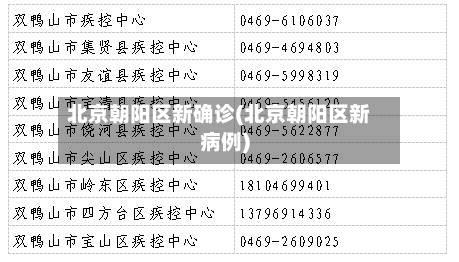 北京朝阳区新确诊(北京朝阳区新病例)