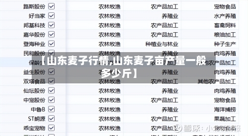 【山东麦子行情,山东麦子亩产量一般多少斤】