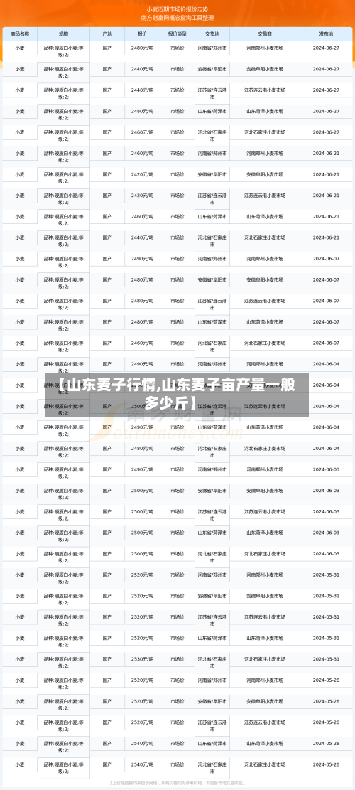 【山东麦子行情,山东麦子亩产量一般多少斤】-第2张图片