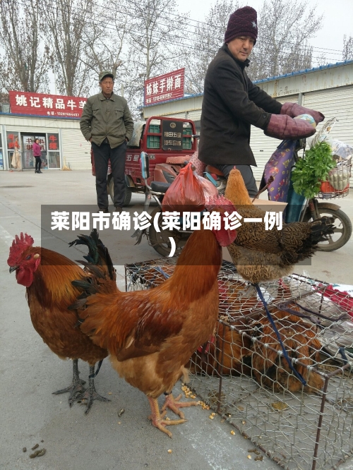 莱阳市确诊(莱阳确诊一例)-第2张图片