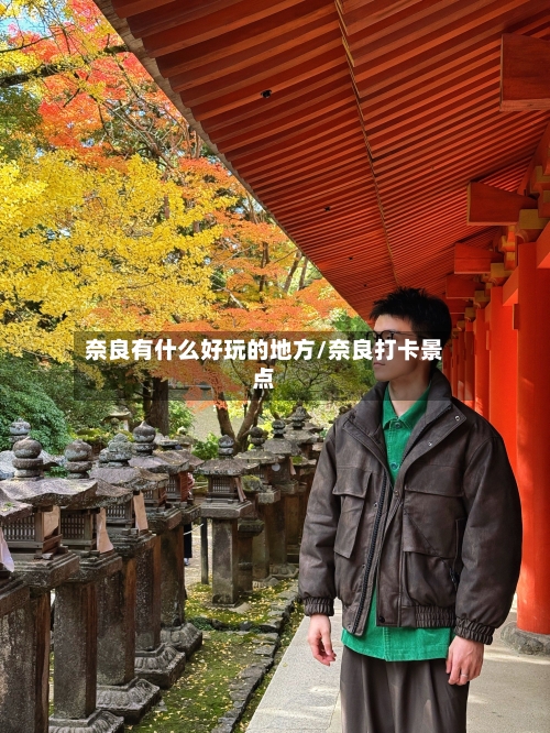 奈良有什么好玩的地方/奈良打卡景点