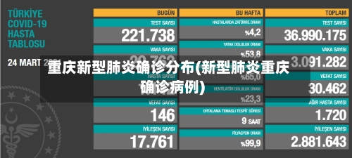 重庆新型肺炎确诊分布(新型肺炎重庆确诊病例)
