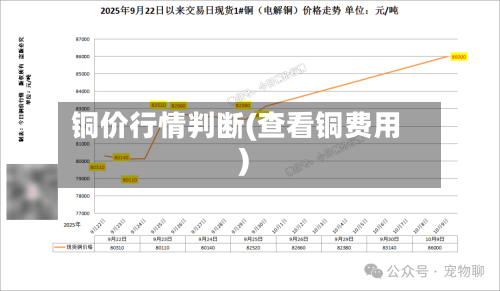 铜价行情判断(查看铜费用)-第2张图片