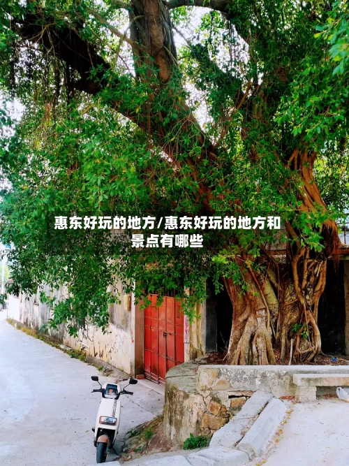 惠东好玩的地方/惠东好玩的地方和景点有哪些