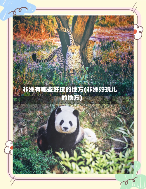 非洲有哪些好玩的地方(非洲好玩儿的地方)-第3张图片