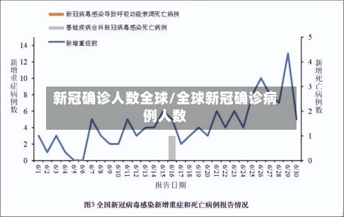新冠确诊人数全球/全球新冠确诊病例人数-第2张图片