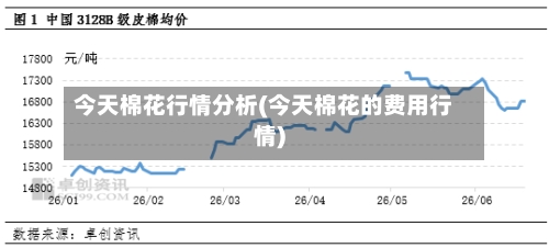 今天棉花行情分析(今天棉花的费用行情)-第2张图片