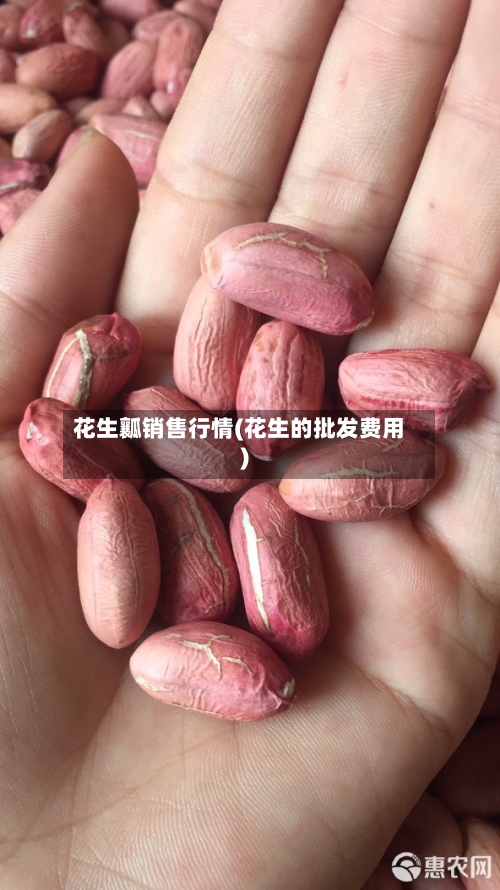 花生瓤销售行情(花生的批发费用)