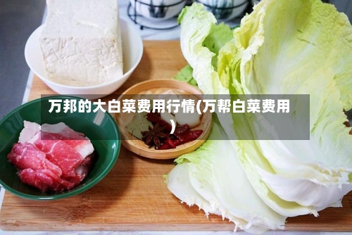 万邦的大白菜费用行情(万帮白菜费用)-第2张图片