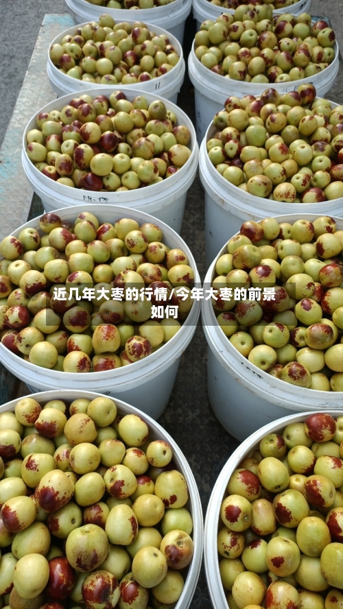 近几年大枣的行情/今年大枣的前景如何-第3张图片