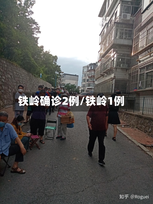 铁岭确诊2例/铁岭1例
