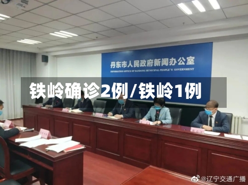 铁岭确诊2例/铁岭1例-第3张图片